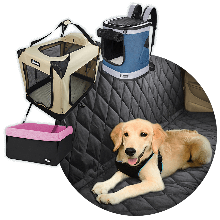 Pet-ProspectingLP-900x900 Pet-ProspectingLP-900x900